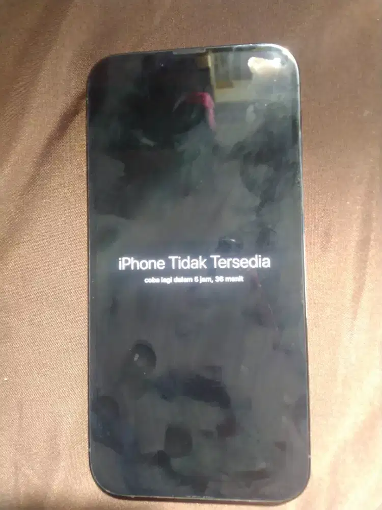 iPhone 13 promax 256gb