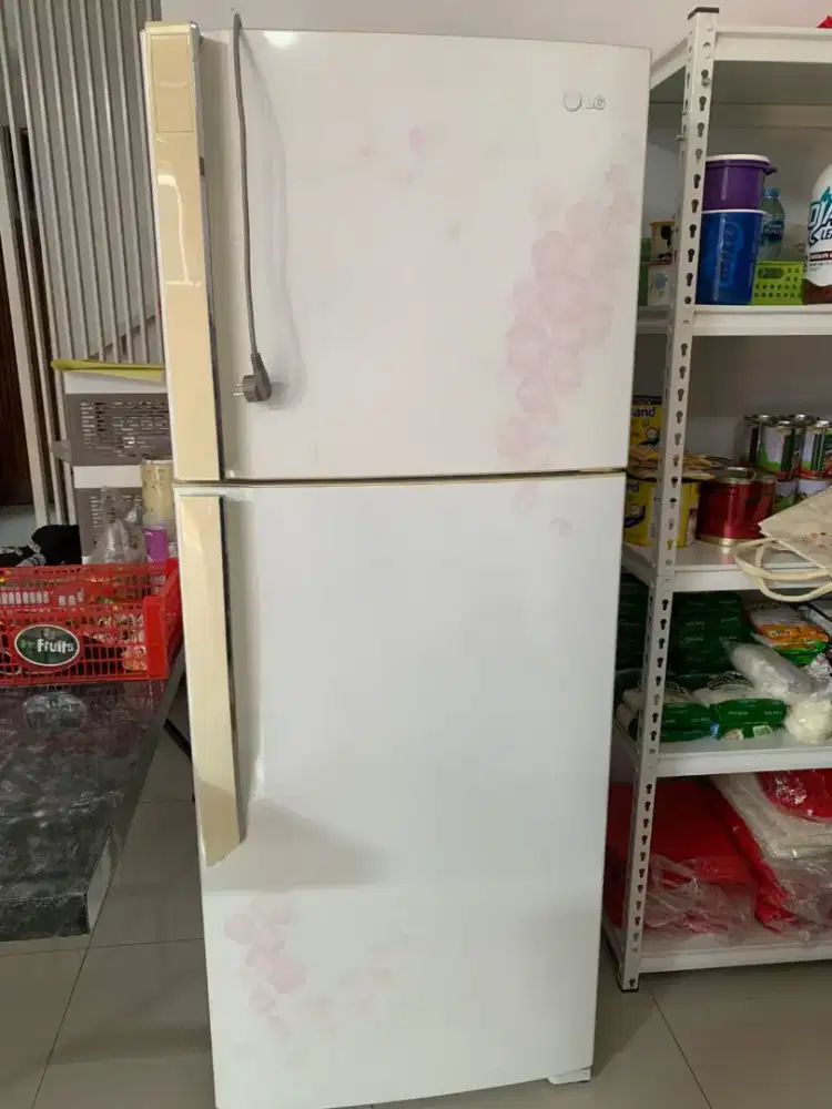 Kulkas 2 Pintu LG Nego