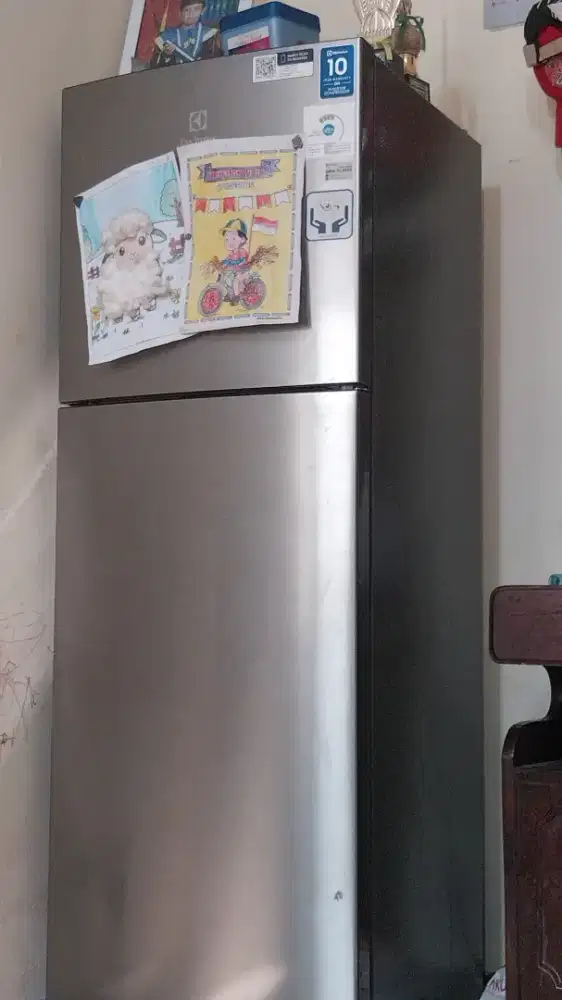 Kulkas 2 pintu elektrolux