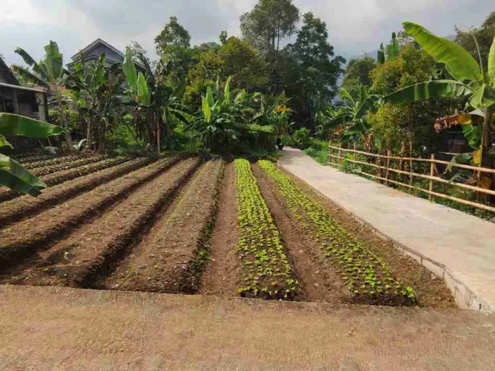 Jual tanah pekarangan Tawangmangu view sejuk