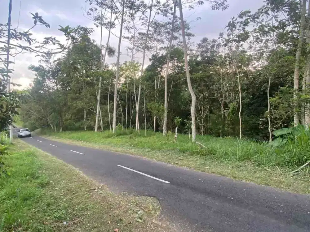 jual tanah Taro payangan dekat Ubud