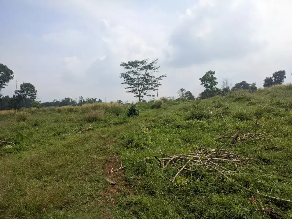 Peluang Bisnis Pertanian! Sewa Lahan 10 Ha Strategis, Tanah Subur