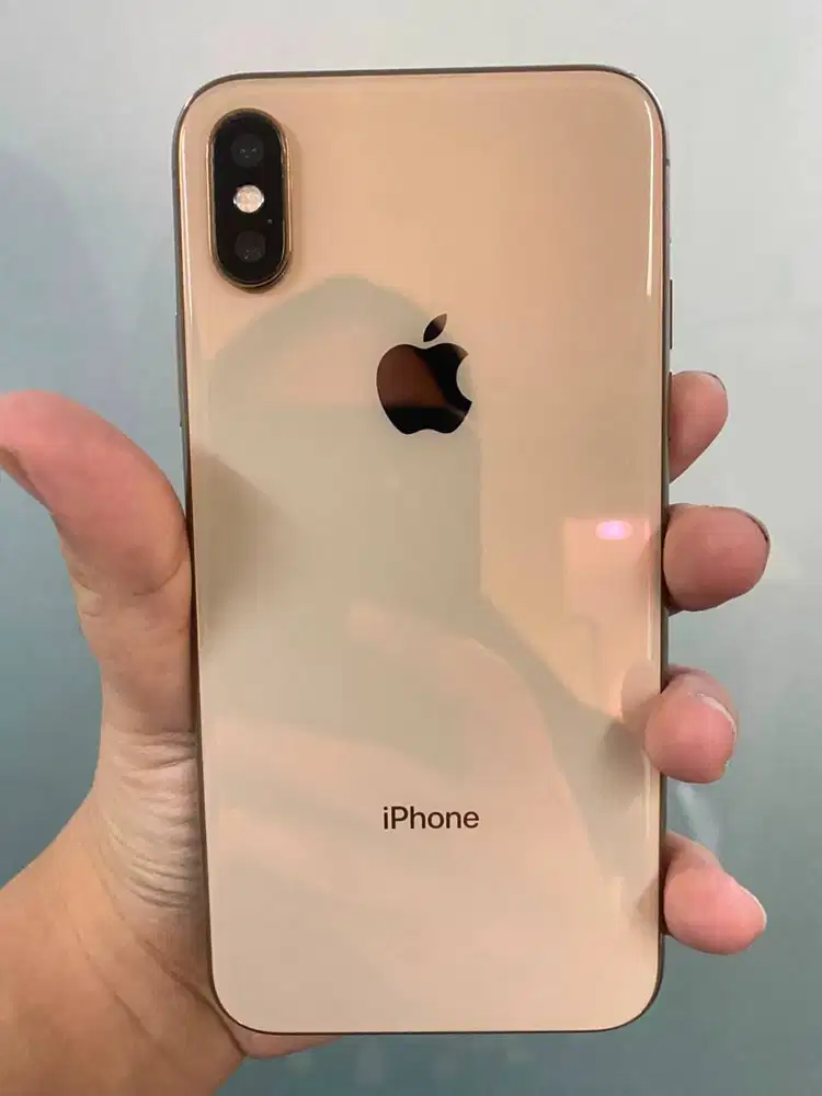 Iphone XS 256 GB Inter Ex Pakaian Pribadi dari 2019