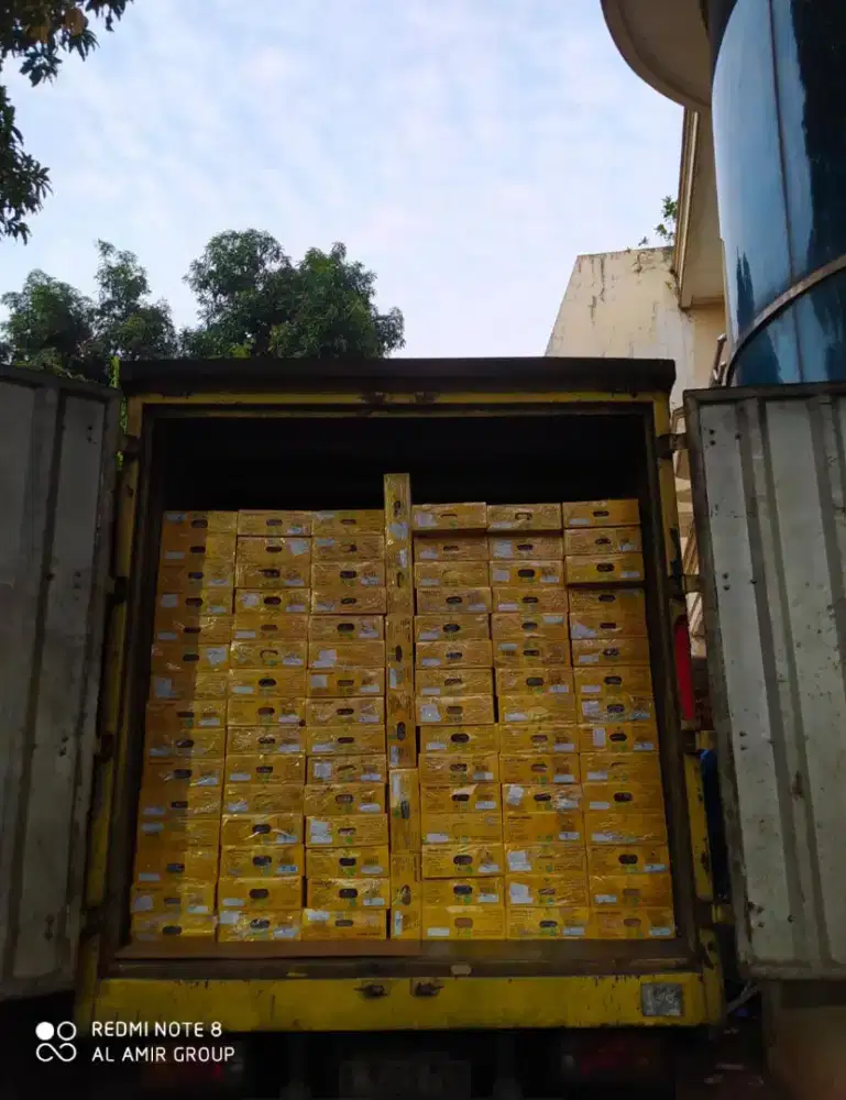 Lowongan pabrik, gudang dan marketing