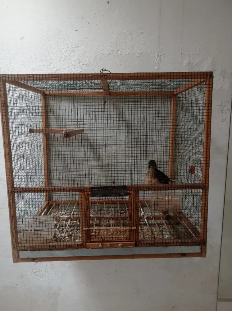 Sangkar soliter burung