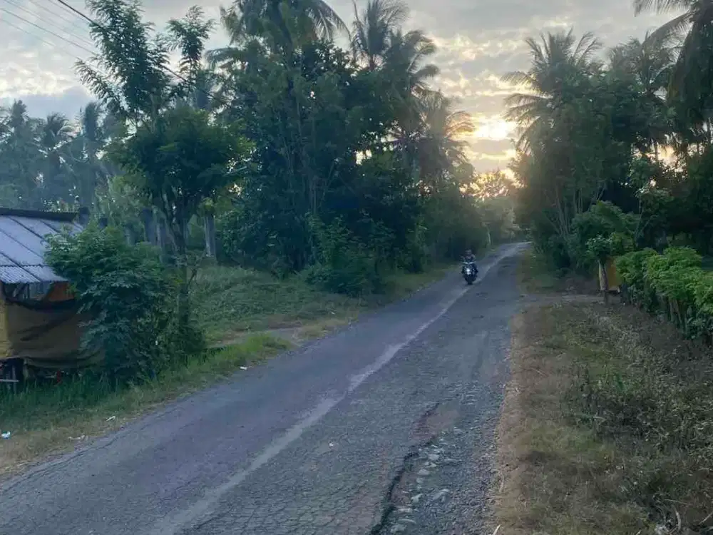 jual tanah dekat pantai cupel jembrana