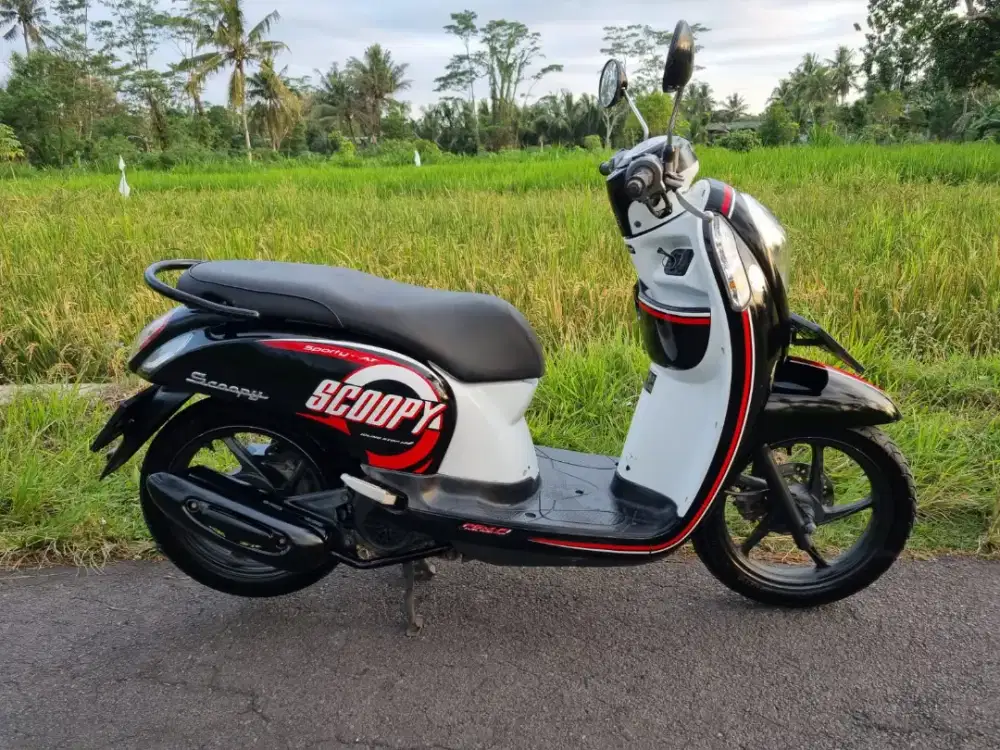 SCOOPY 2017 ESP ISS