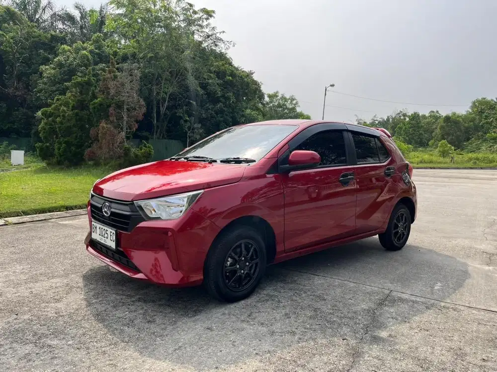 AYLA 1.0 Type X MT 2025