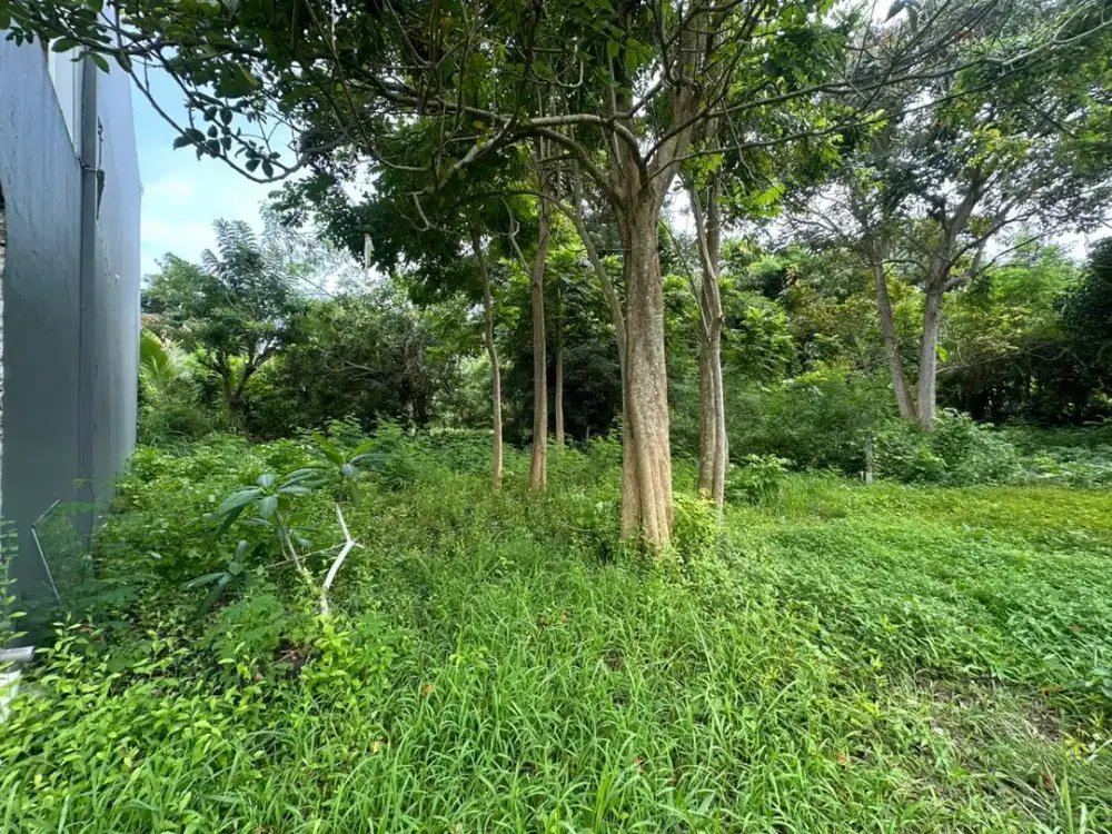 Tanah Eksklusif Di Labuansait - Kawasan Villa Premium, Badung Bali