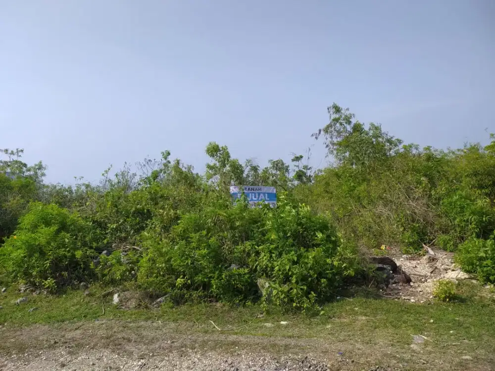 DIJUAL TANAH VIEW LAUT DI UNGASAN - LOKASI STRATEGIS DAN INVESTASI MENJANJIKAN!