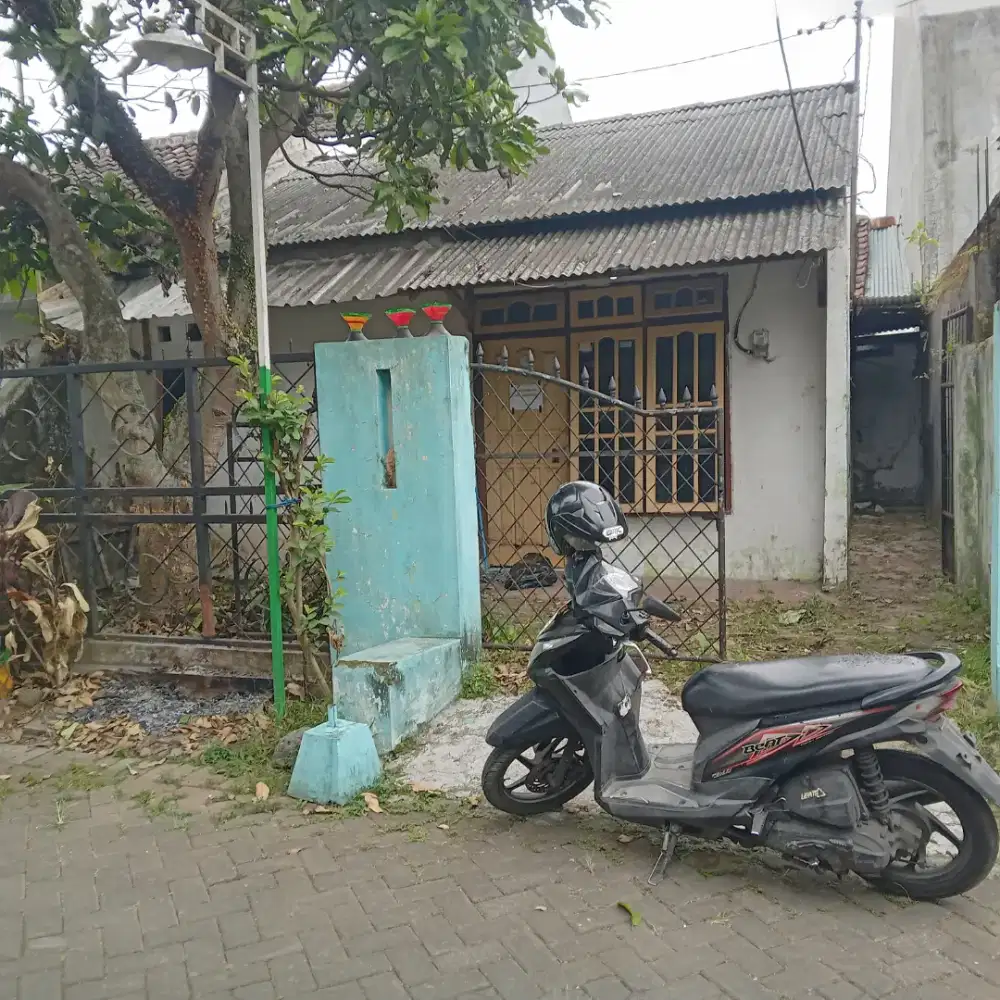 Rumah dikontrakan asrikaton pakis
