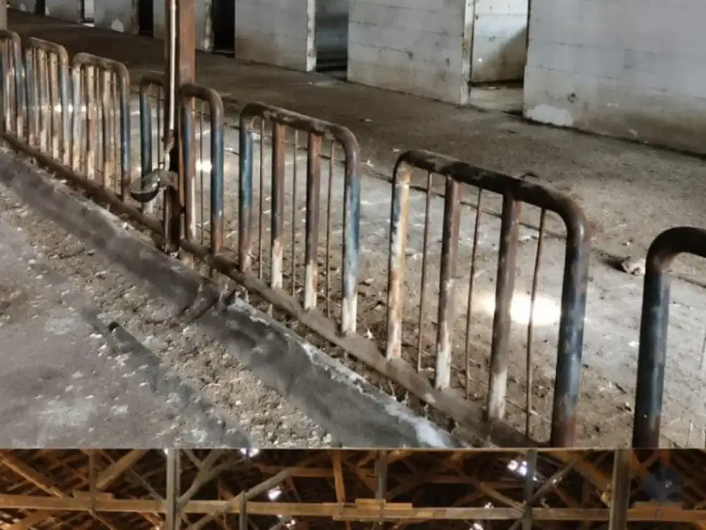 Dijual Lahan Perkebunan ±130 Hektar di Wonosalam, Jombang