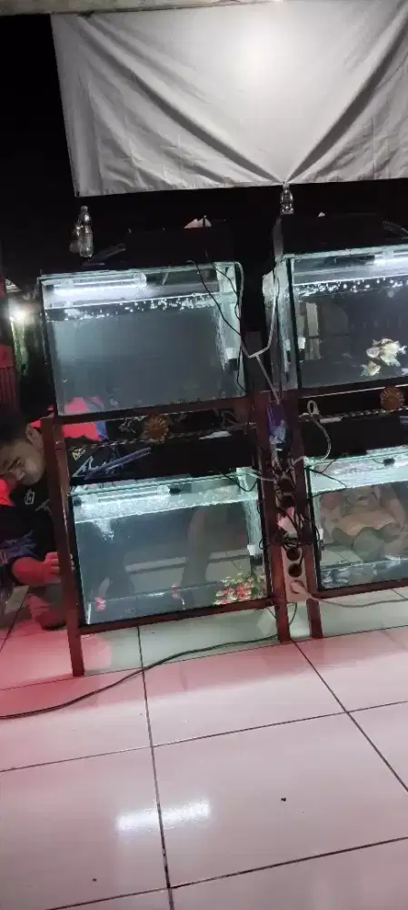Aquarium 50*35*30 lem hitam Plus Rak dan mesin juga Box.