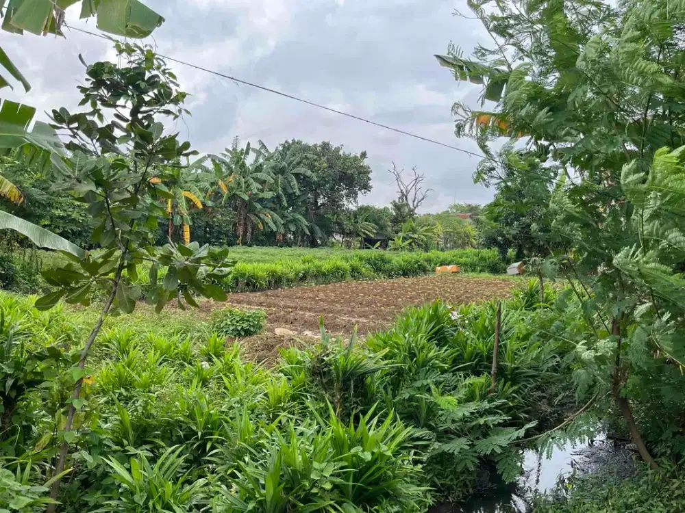 Tanah Darat Fungsi bebas