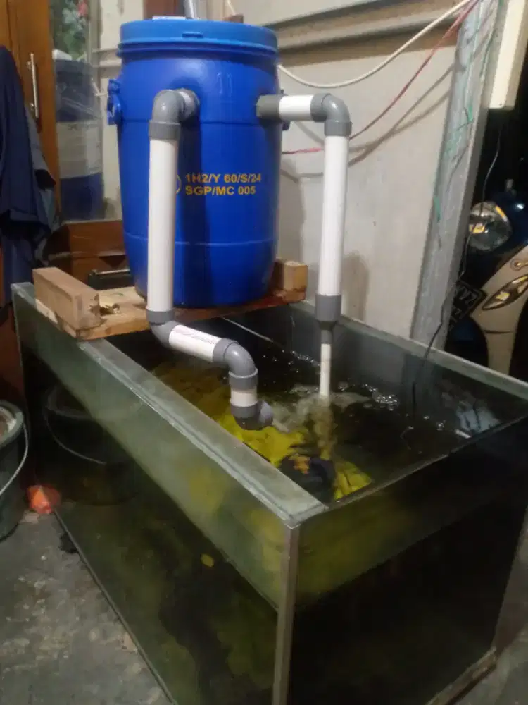 akuarium  130 X70x70 pulus ikan dan filter