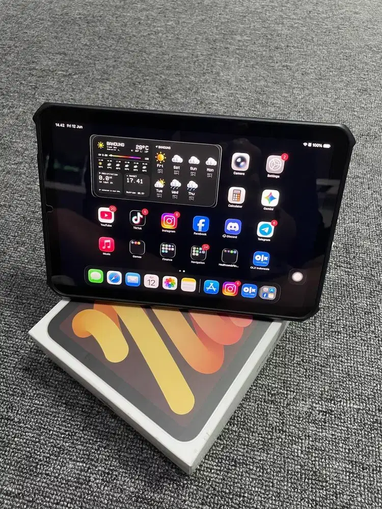 iPad Mini 6 64GB wifi only (Pink)