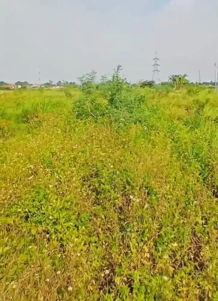 DIJUAL TANAH CLUSTER - JL. SRIJAYA, TAMBUN UTARA. KAB. BEKASI.