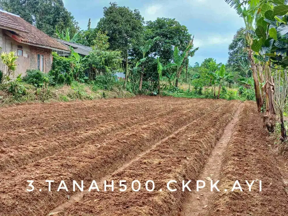 Dijual tanah kebun luas pinggir jalan rata mudah dijangkau dekat kota