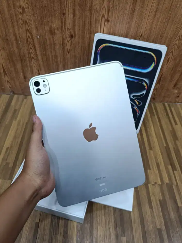 Ipad pro M4 11-inch 256 wifi iBox bekas display like new