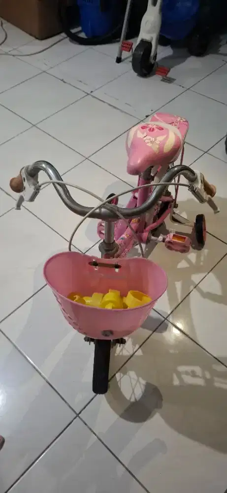 Sepeda roda 3 untuk anak cewek