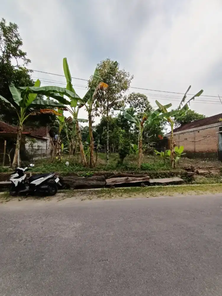 Dijual tanah kebun strategis