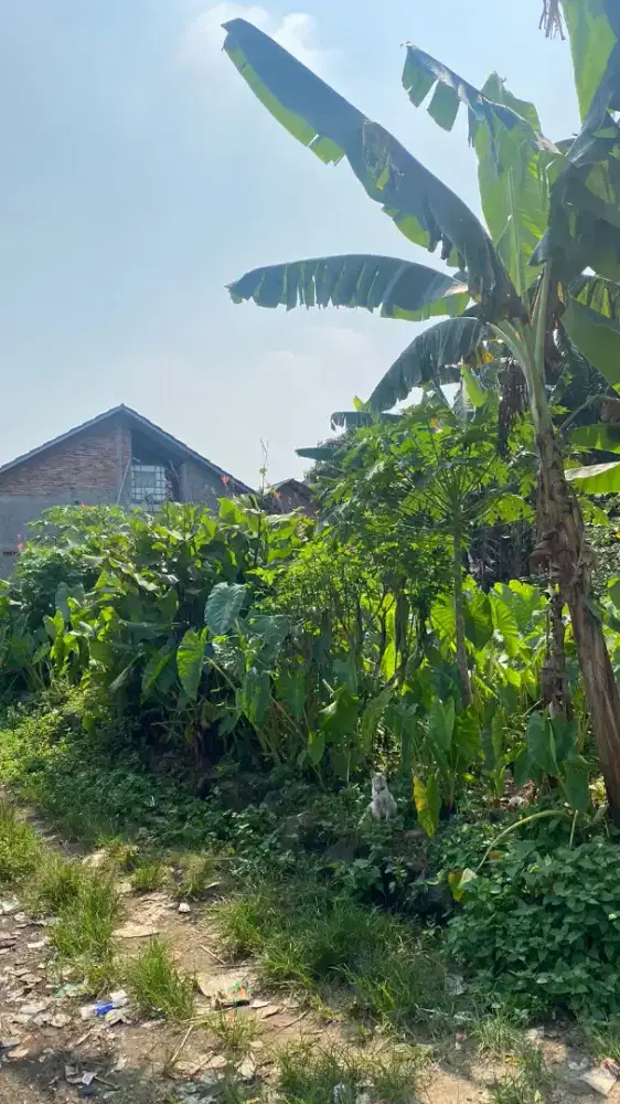 BU!Harga owner langsung!Tanah Strategis Bekasi-Cibubur Rp432 Juta Nego