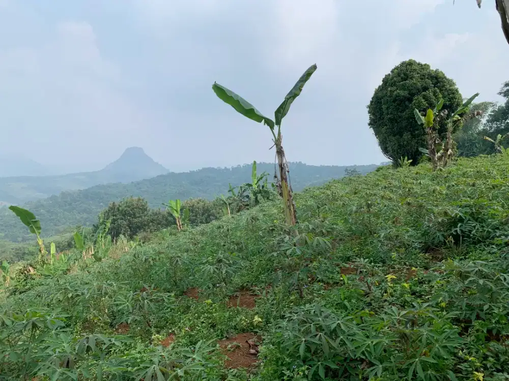 Dijual Lahan 2,5 Hektar - View Memukau, Udara Sejuk, Cocok untuk Villa