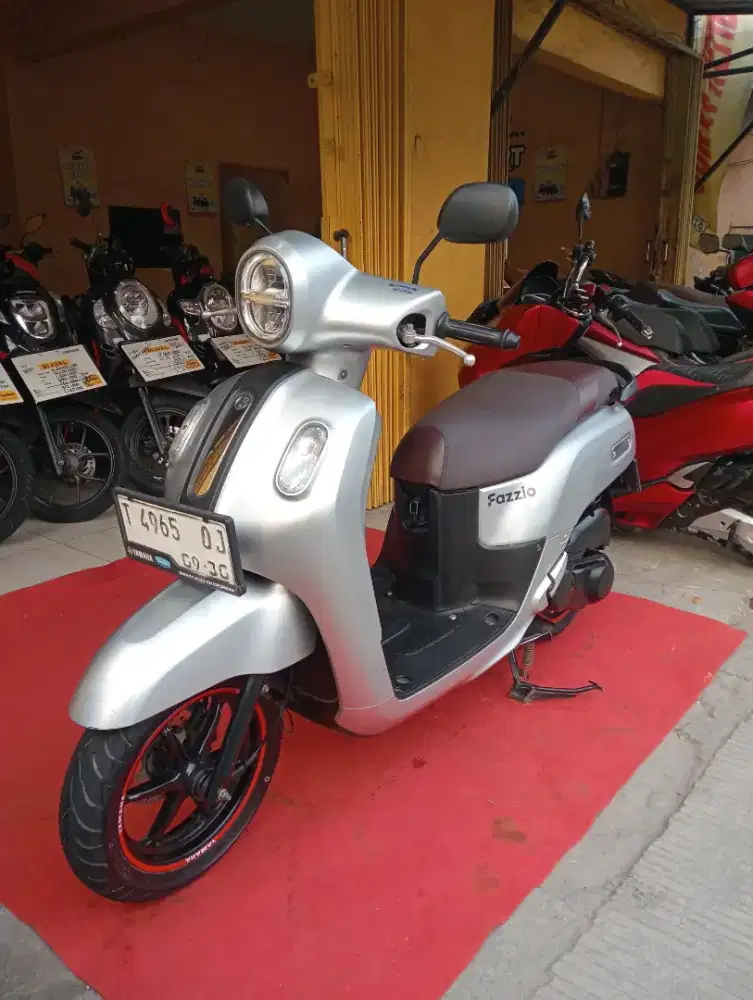Y. Fazzio Lux 2023