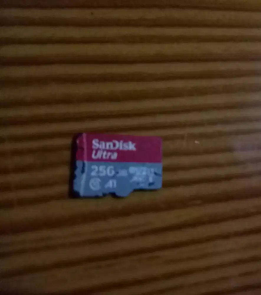 SanDisk Ultra 256GB MicroSD