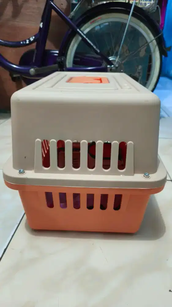 Pet cargo kucing/anjing
