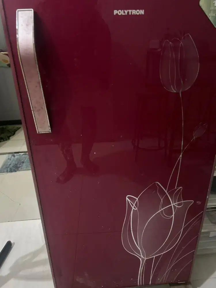 Kulkas polytron