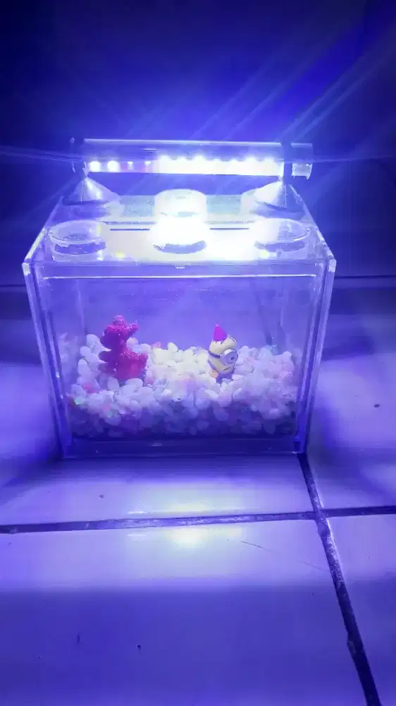 Aquarium mini aksesoris plus lampu