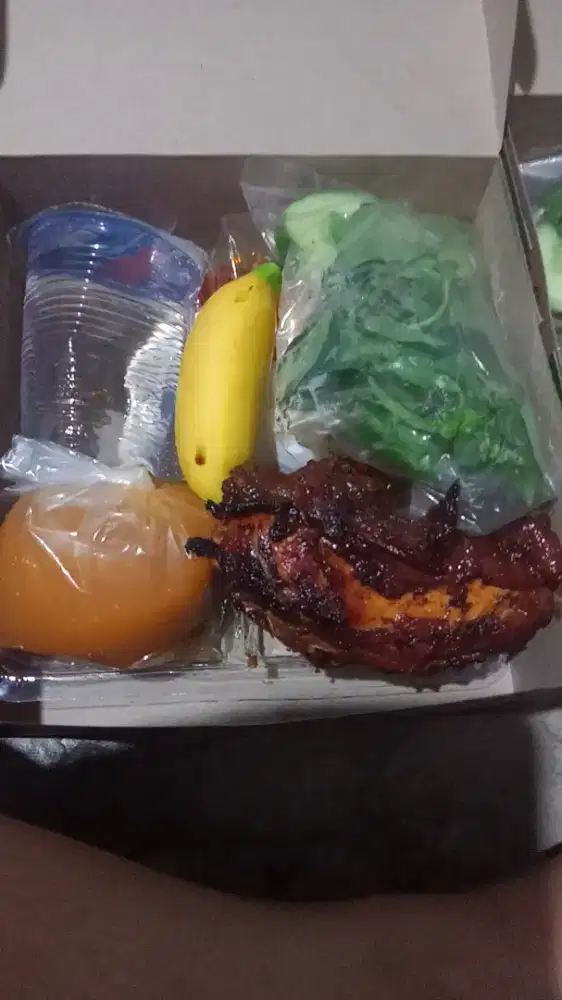 Terima pesanan nasi kotak