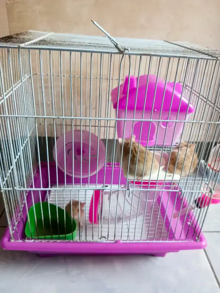 DIJUAL BORONGAN MURAH KANDANG BEKAS + HAMSTER + PASIR