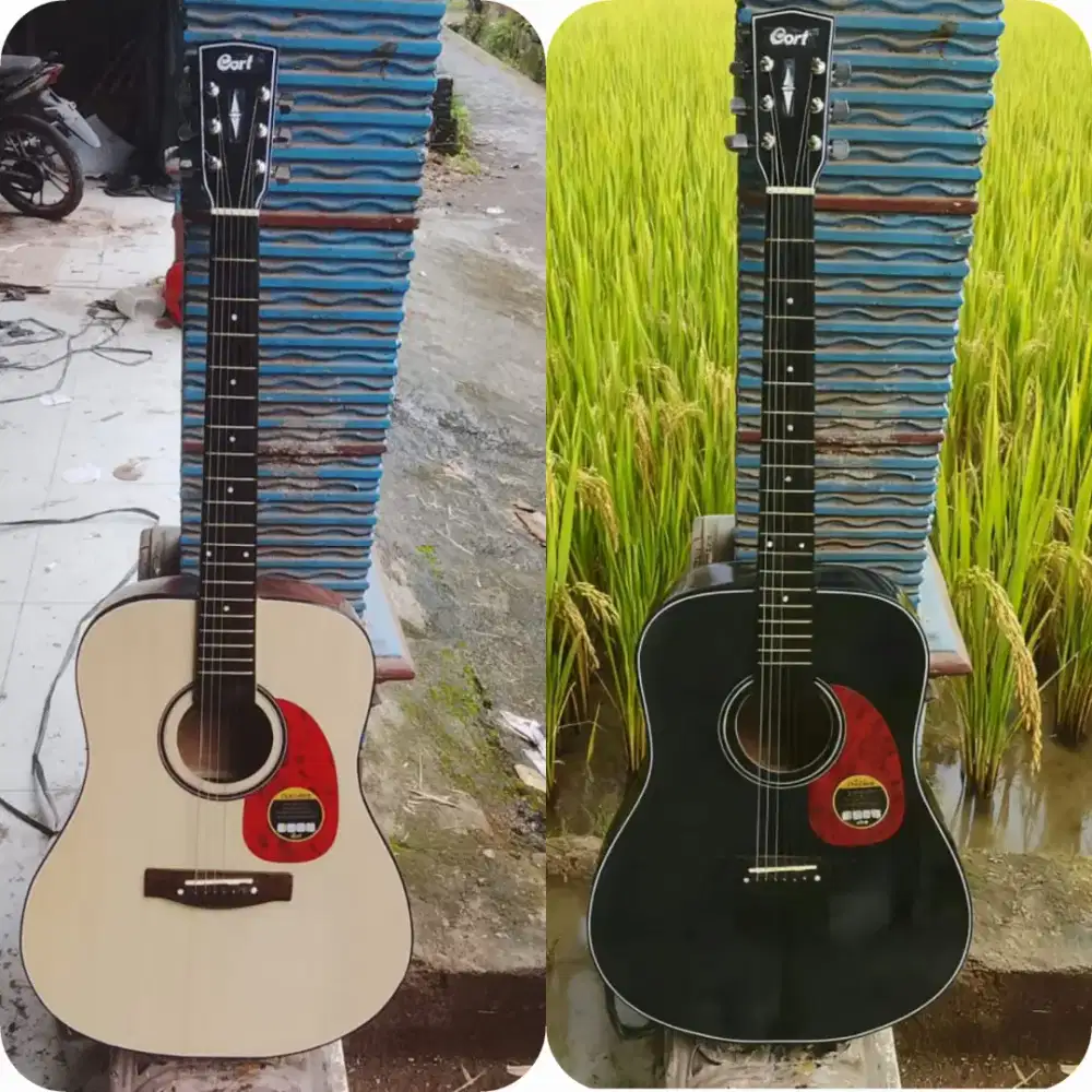 Gitar akustik ymahaa New black