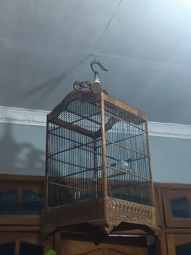 Sangkar burung Bekas