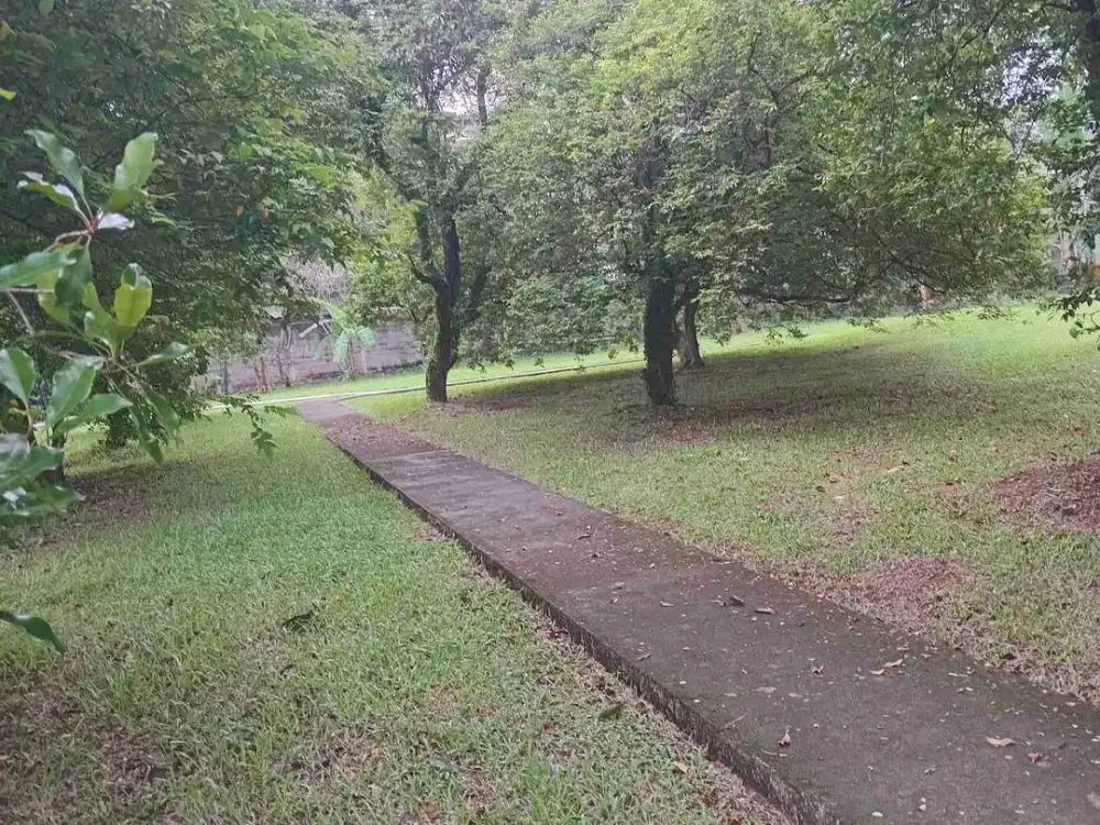 Jual Tanah Kebun Kelapa Dua Tugu Cimanggis Depok