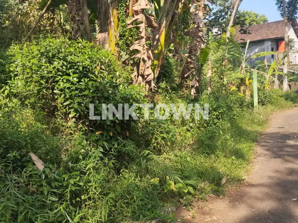 Dijual Tanah Cocok untuk di Bangun Hunian dan Kost Lokasi Strategis di Gunungpati Semarang