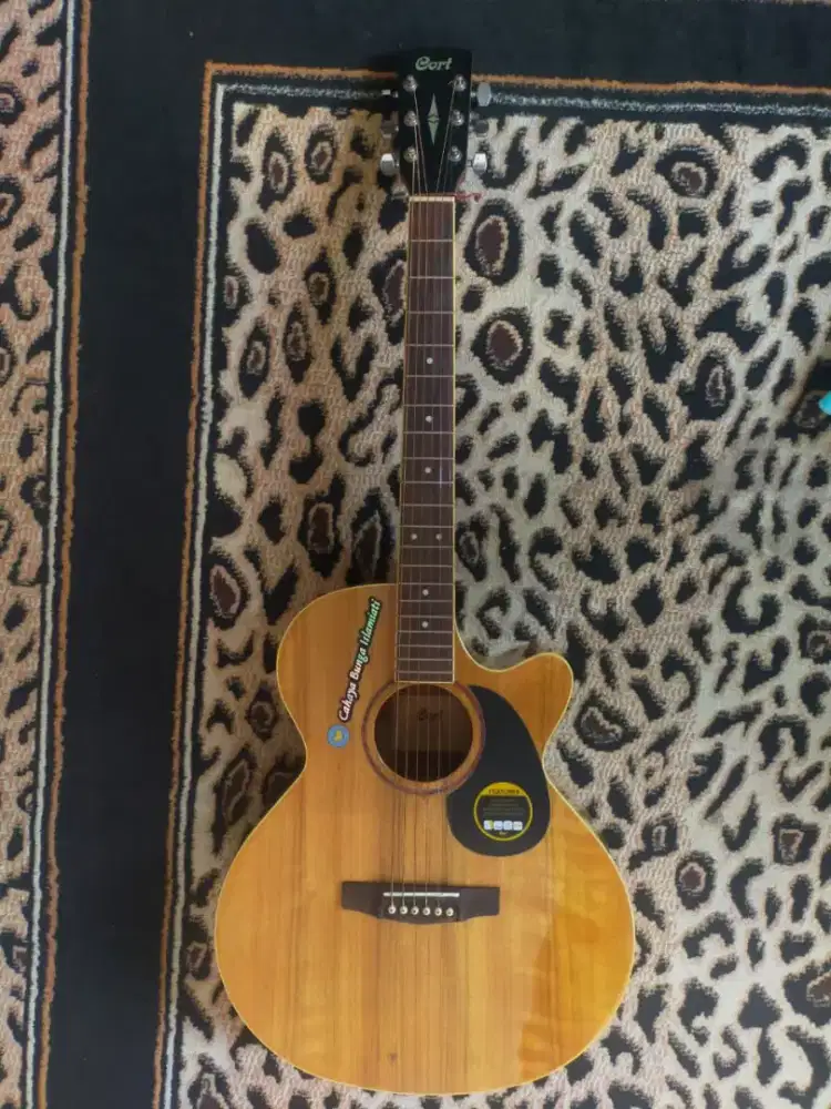 Gitar Akustik Elektrik Cort SFX DAO NAT