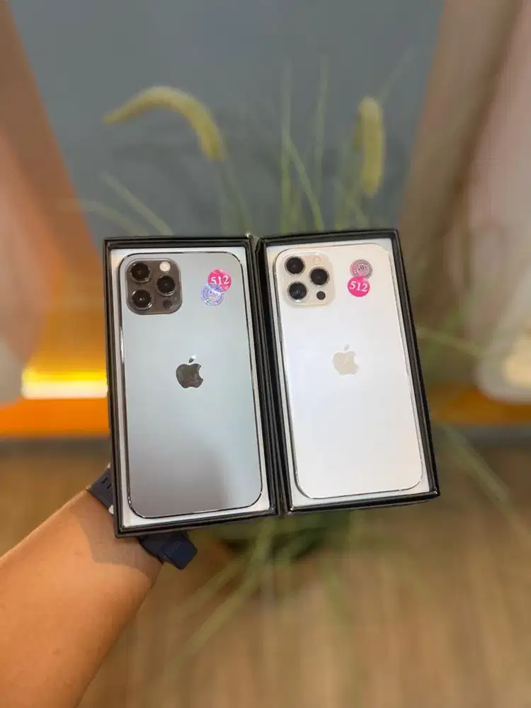 Iphone 12 pm 512gb beacukai