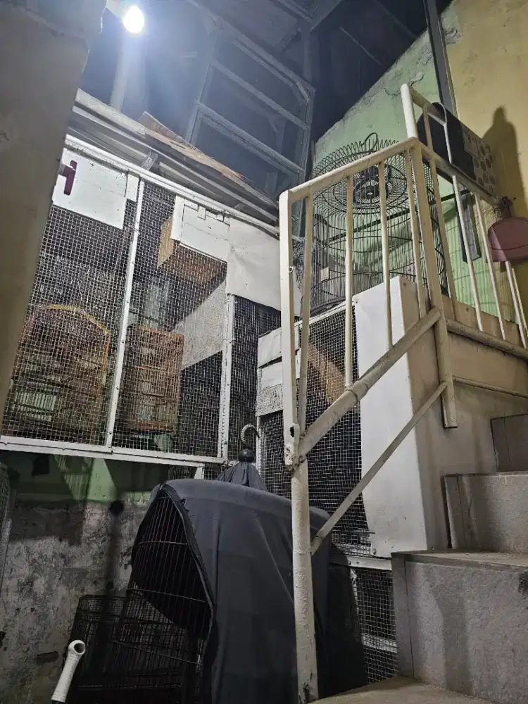 Kandang burung ternak paket