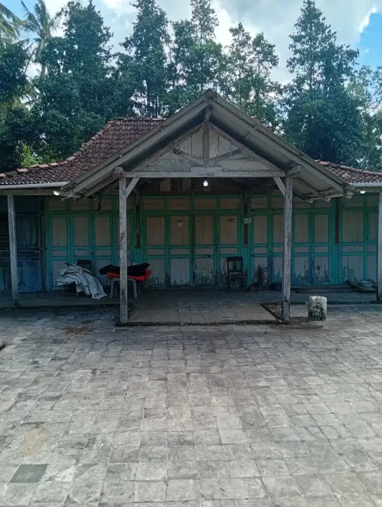 Jual rumah limasan kuno, soko 14cm gebyok keliling