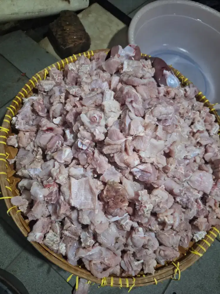 Daging Biawak Bersih