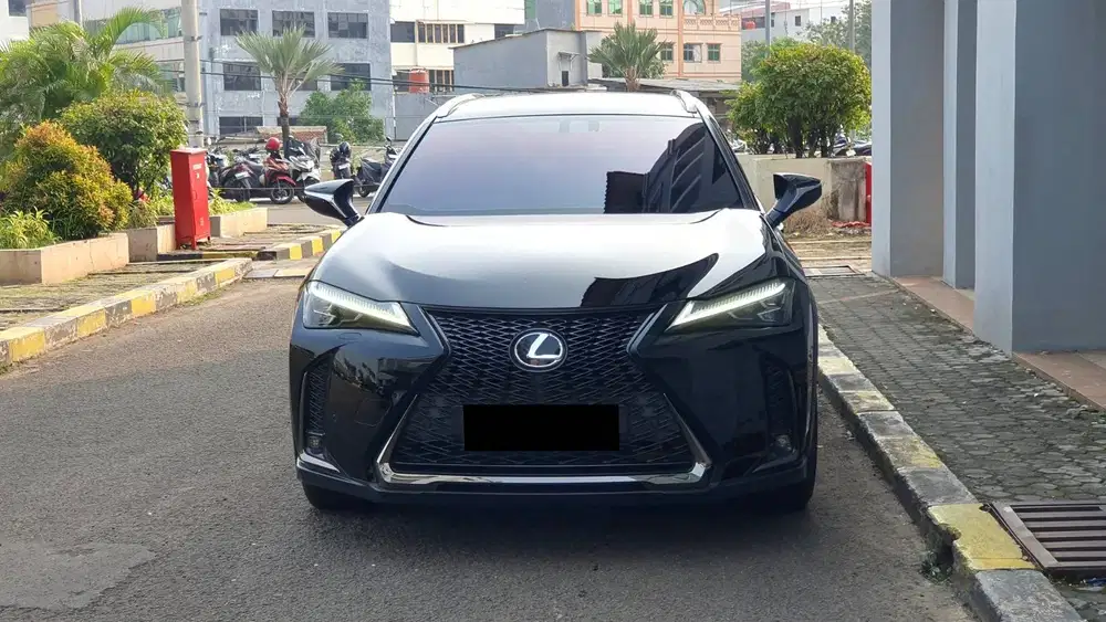 Lexus UX200 UX 200 F-Sport F Sport AT Black On Red 2019 Antik Low KM
