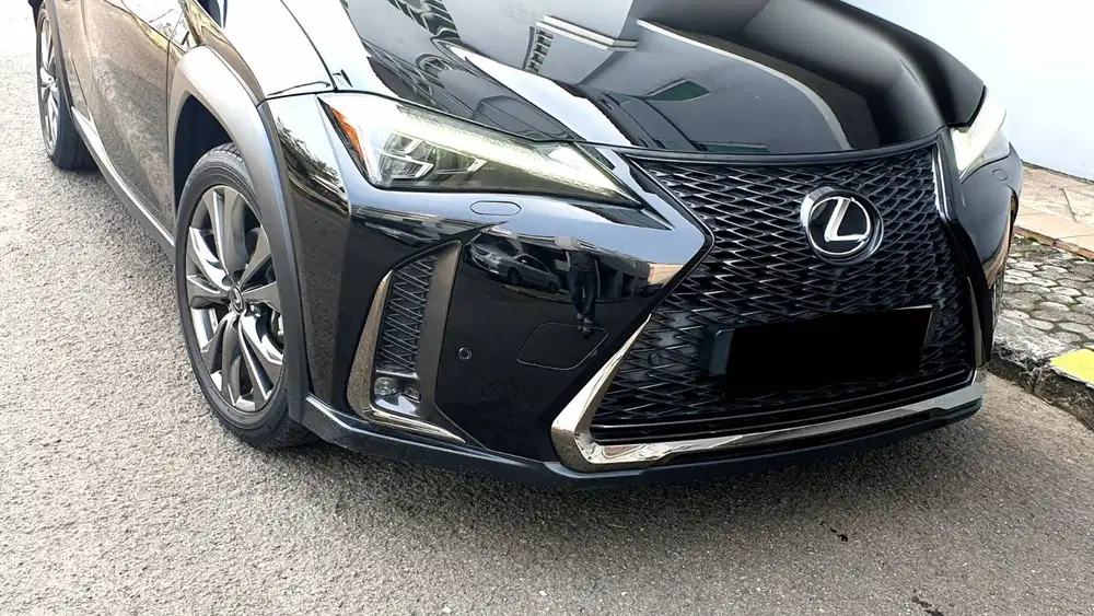 Lexus UX200 UX 200 F-Sport F Sport AT Black On Red 2019 Antik Low KM