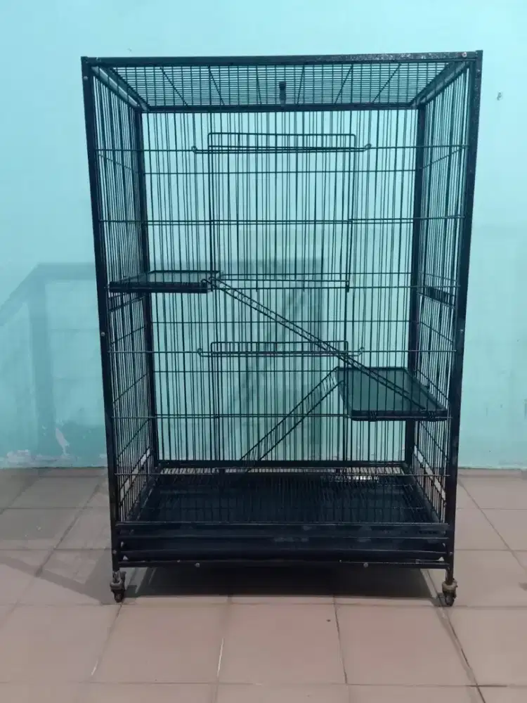 Kandang Kucing Terawat