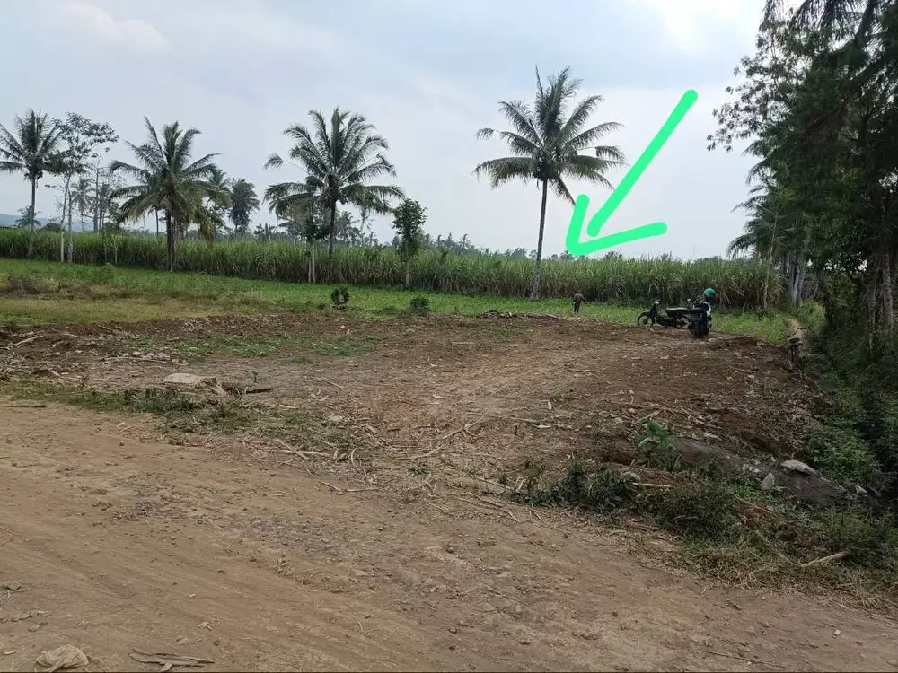 Tanah, Ladang Tebu Produktif