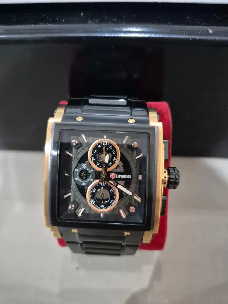Expedition E6731