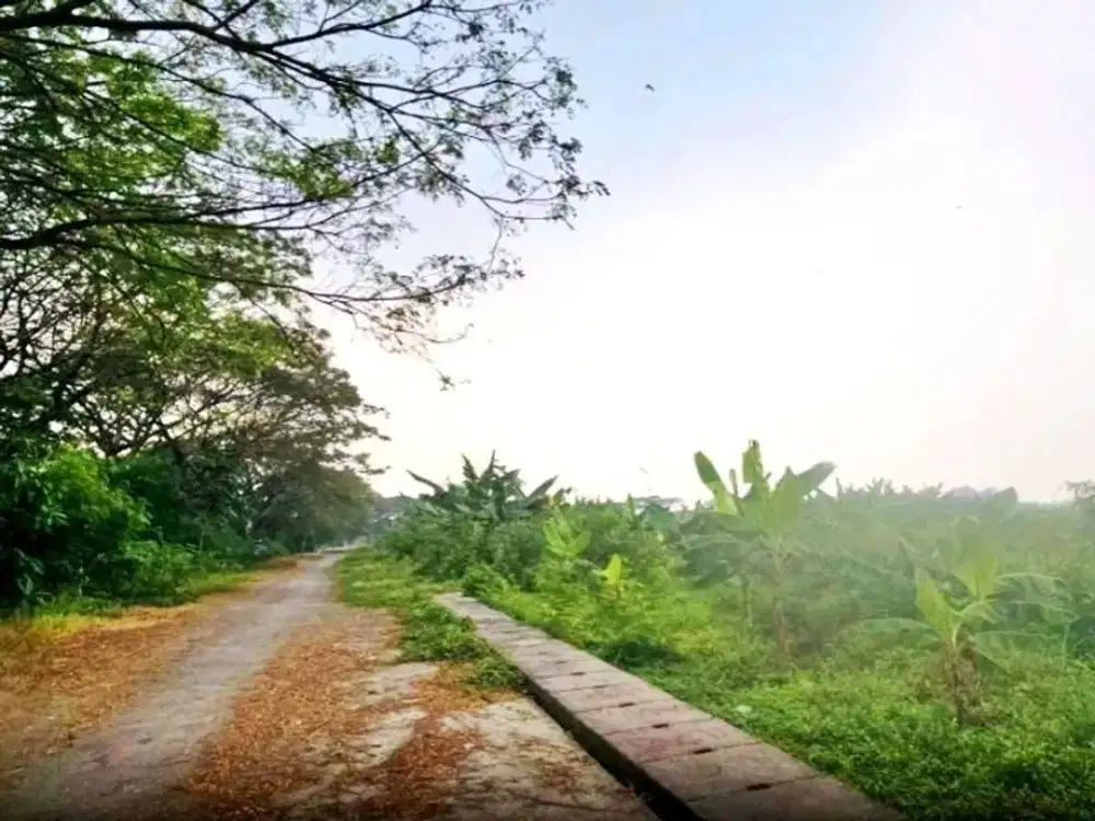Jk503.JUAL RUGI Lahan Komersial MURAH Luas 6Ha Di Cikokol Tangerang