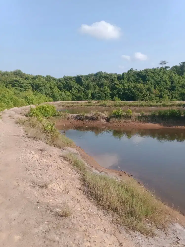Dijual Kebun Sawit dan Tambak Aceh Timur